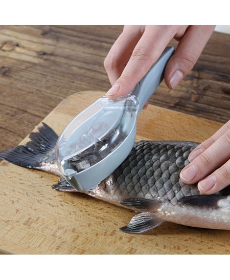 Fish Scale Scraper Fish Scale Scraper